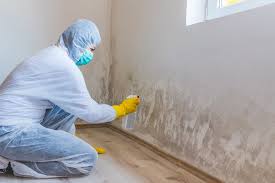 Best Emergency Mold Remediation  in Defuniak Springs, FL