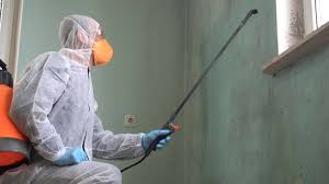 Best Black Mold Removal  in Defuniak Springs, FL