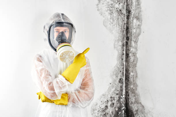 Best Environmental Consulting for Mold Prevention  in Defuniak Springs, FL